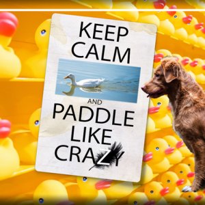 ATC 2019-076 Keep Calm