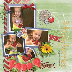 Florida Strawberries