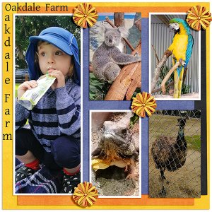 Oakdale Farm