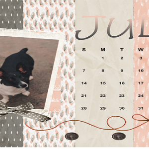 June Desktop Challenge