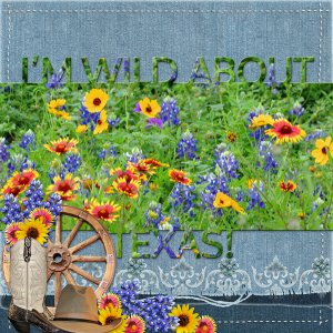 I'm WILD ABOUT TEXAS!