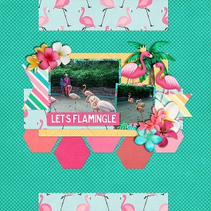 lets-flamingle