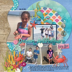Ocean Adventure
