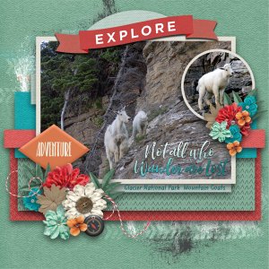 Explore