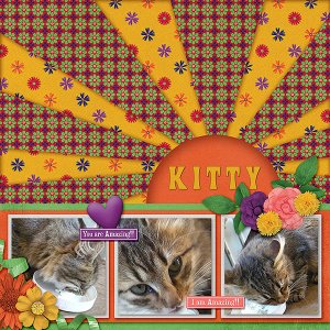 Kitty
