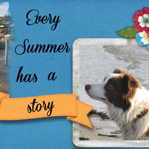 Summer Story