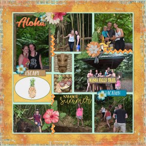 Aloha Manoa Falls