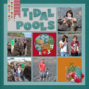 Tidal Pools