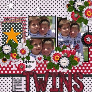 The Twins