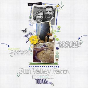 Sun Valley Farm | June 2019
