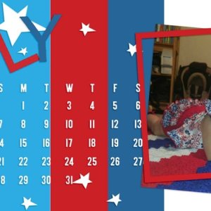 2019-june-desktop-challenge-rs