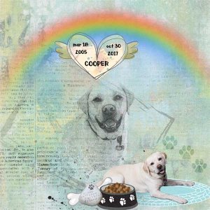 love my dog cooper