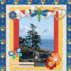 Sunshine Coast