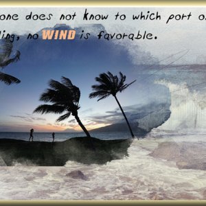 Wind