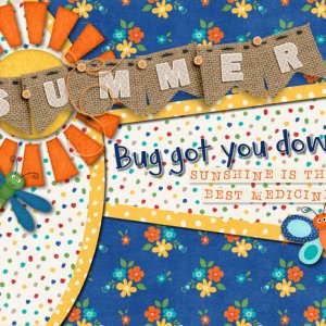 CARD Summer Bug
