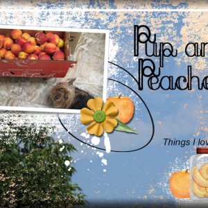 Pup and Peaches