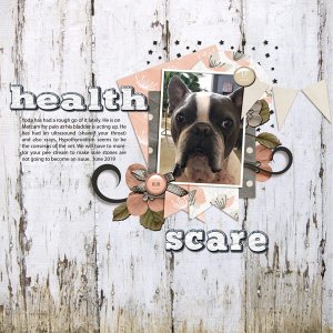 HEALTH SCARE