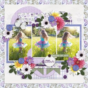 Fields of Joy