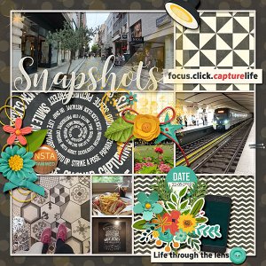 Snapshots