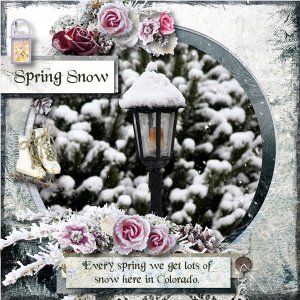 Spring Snow