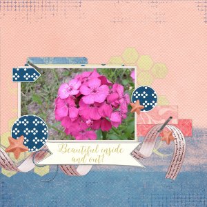 GS_June19_TempChal1_MFish-01