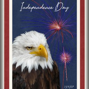 ATC 2019-085 Independence Day