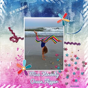Ocean Flipper