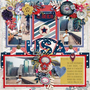 trip to the usa