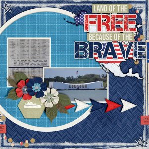 Because-of-The-Brave