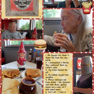 Steak 'N Shake