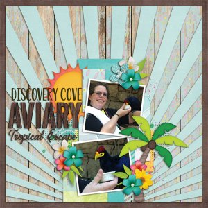 Discovery Cove Aviary
