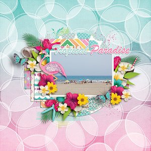 Tropical Paradise