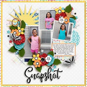 Snapshot