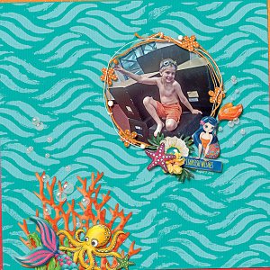 Starfish Wishes