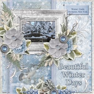 Beautiful Winter Days
