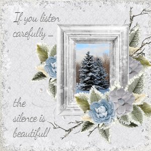If you listen carefully ... the silence is beautiful!