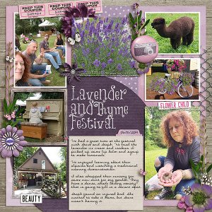 Lavender Festival