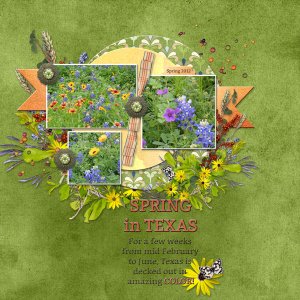 SPRING in TEXAS