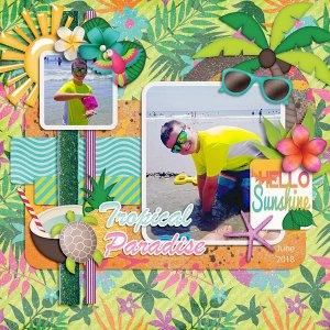 Tropical Paradise