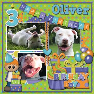 Oliver Bday