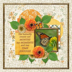 The butterfly counts ...