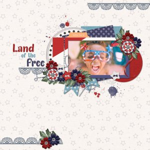 Land Of The Free