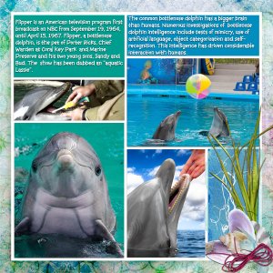 Flipper