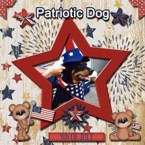 Patriotic Dog