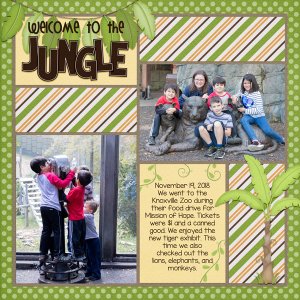Welcome to the Jungle