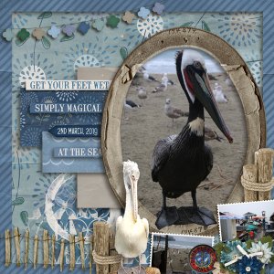 Magical Mr Pelican