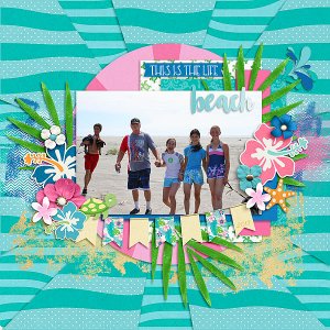 Tropical Fun