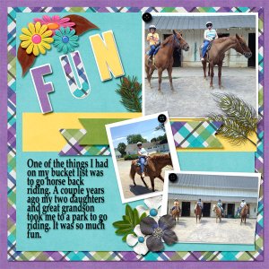 Horseback riding -Recipe -July 2019