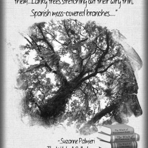 ATC 2019-086 Trees Down South