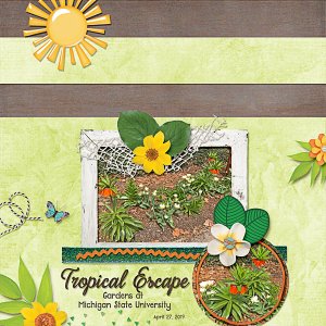 Tropical Escape at the Gardens of MSU